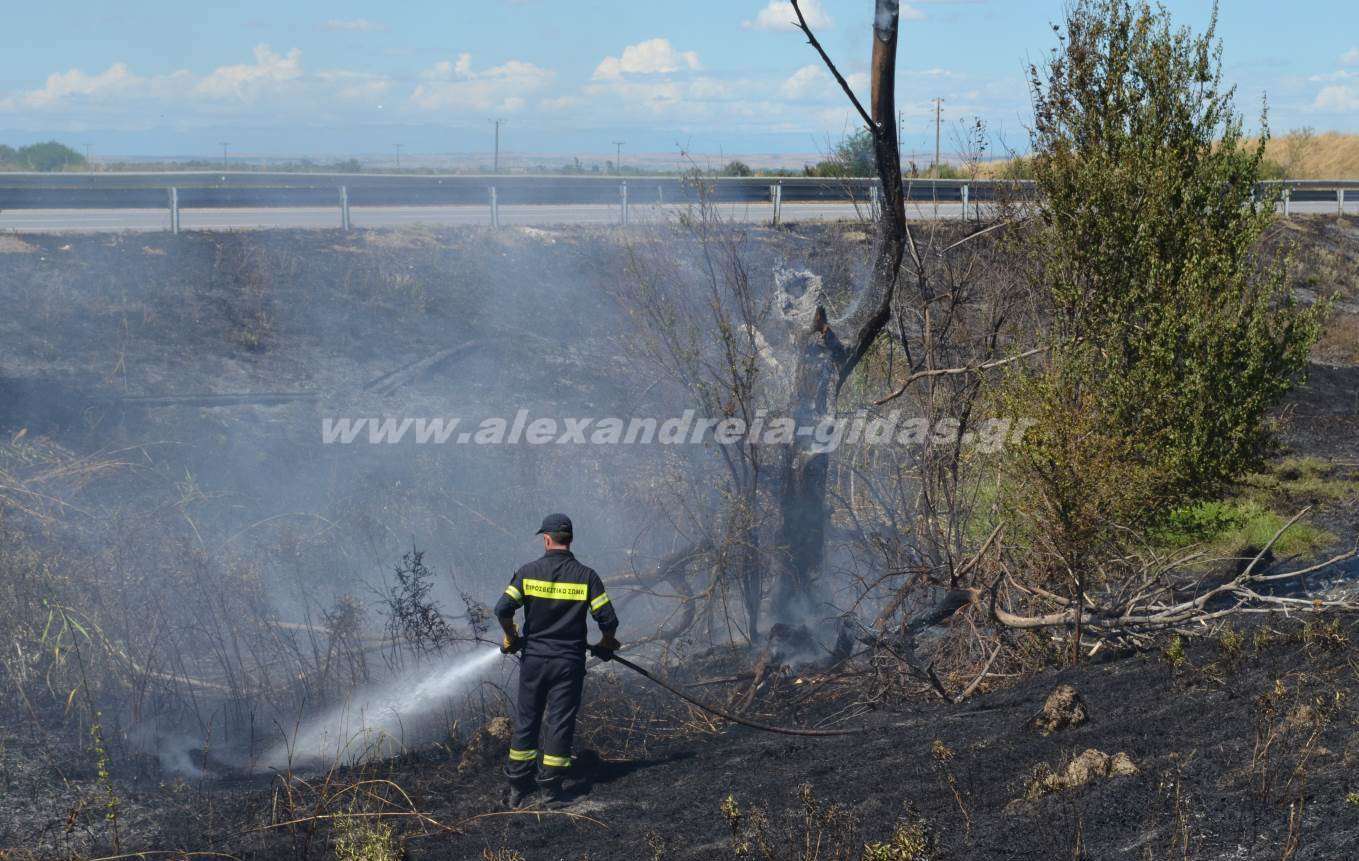 Μάχη με τις φλόγες στην Εγνατία για τους πυροσβέστες της Αλεξάνδρειας (εικόνες-βίντεο)