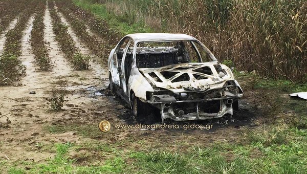 ΤΩΡΑ: Καμμένο αυτοκίνητο σε χωραφι του δήμου Αλεξάνδρειας (φωτο)