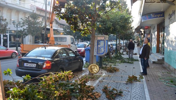 Κλάδεμα δέντρων και καθαρισμός φωτιστικών το πρωί στη Βετσοπούλου (φώτο)