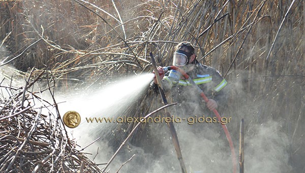 Τα μέτρα στον δήμο Αλεξάνδρειας για τις φωτιές στη διάρκεια του καλοκαιριού