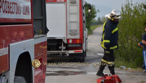 Από 1 Ιουνίου οι αιτήσεις για την πυροσβεστική με τις πανελλήνιες