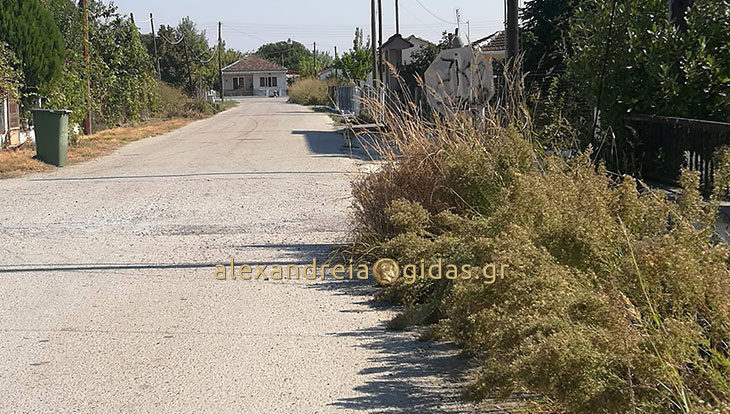 Υποχρεωτικός είναι ο καθαρισμός οικοπέδων και ακάλυπτων χώρων – υπάρχουν κυρώσεις και πρόστιμα