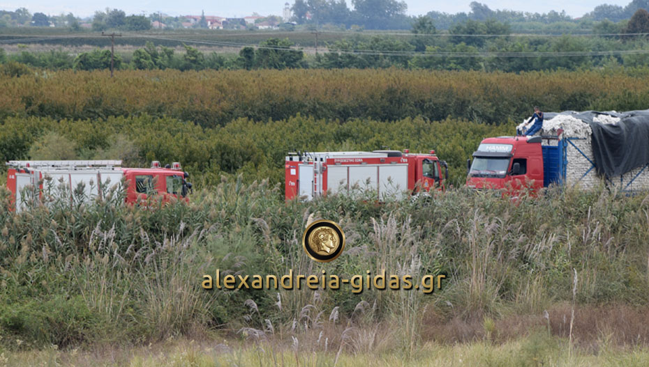 Σειρήνες της πυροσβεστικής πριν λίγο στην Αλεξάνδρεια – τι συνέβη (φώτο)