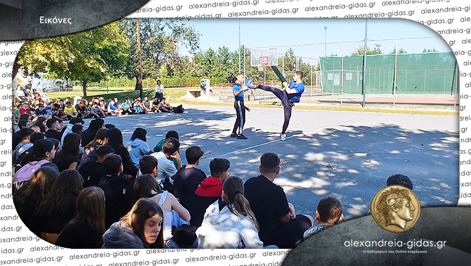 2ο Γυμνάσιο Αλεξάνδρειας: Ημέρα Σχολικού Αθλητισμού με tae kwon do από τον Κωνσταντίνο Χαμαλίδη!